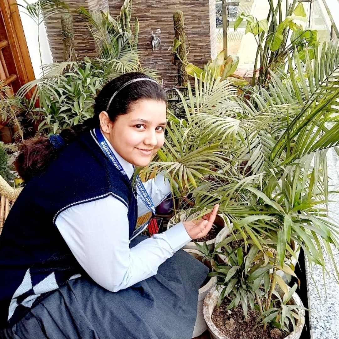 Prabha Khaitan Foundation - Nature & Wildlife - Tree Plantation